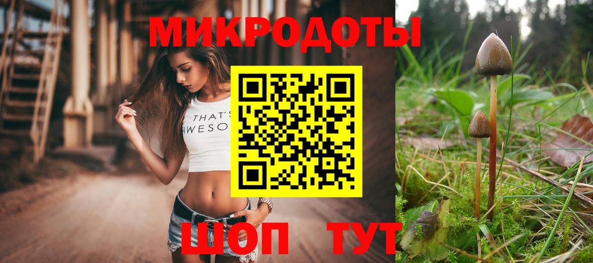 Псилоцибиновые грибы Cubensis Урюпинск